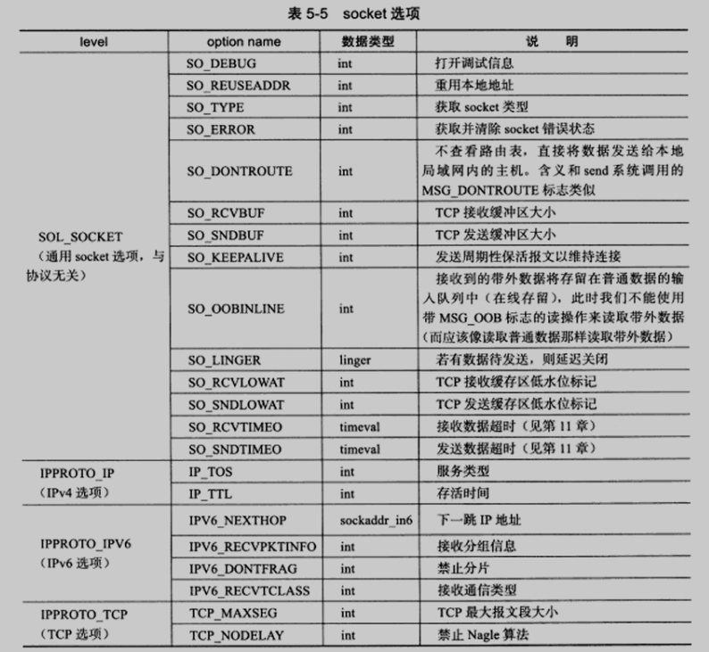 socket选项